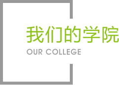 2026年国际足联世界杯